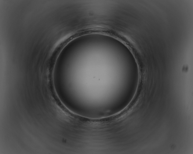 X0000091371402200708311516