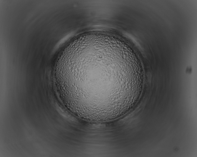 X0000091371403200708311516