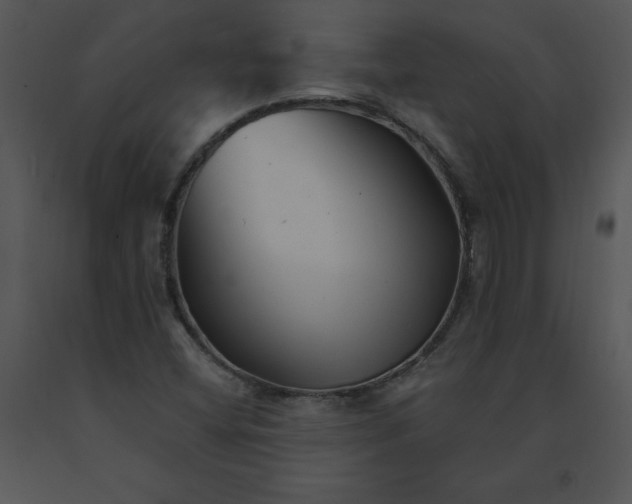 X0000091371404200708311516