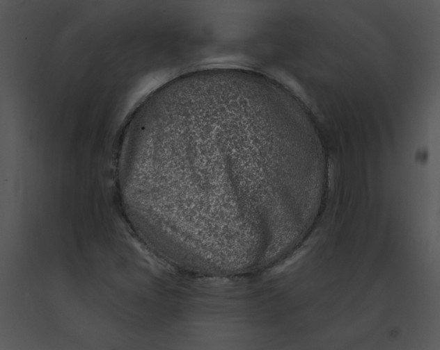 X0000091371405200708311516