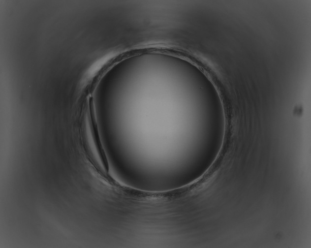 X0000091371406200708311516