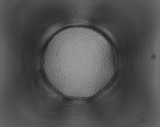 X0000091371407200708311516