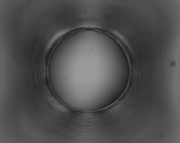 X0000091371408200708311516