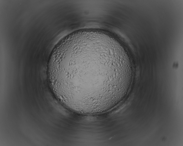 X0000091371409200708311516