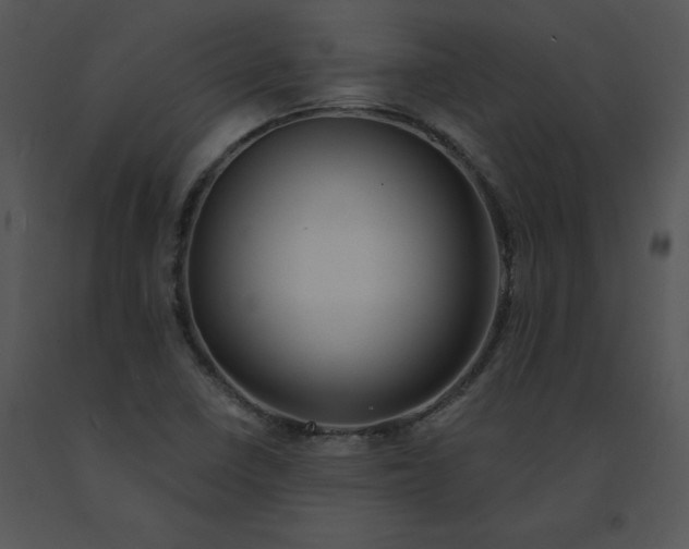 X0000091371410200708311516