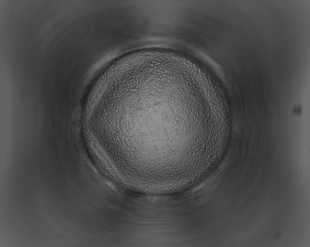 X0000091371411200708311516