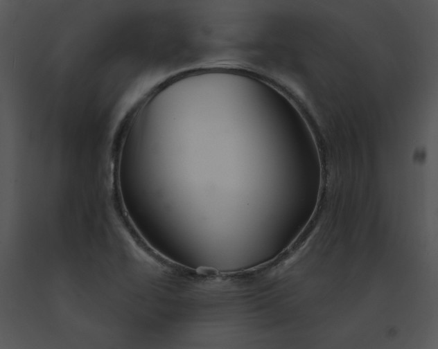 X0000091371414200708311516