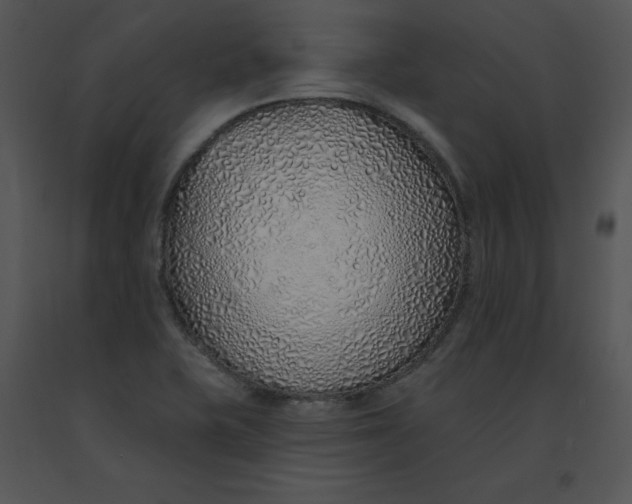 X0000091371415200708311516