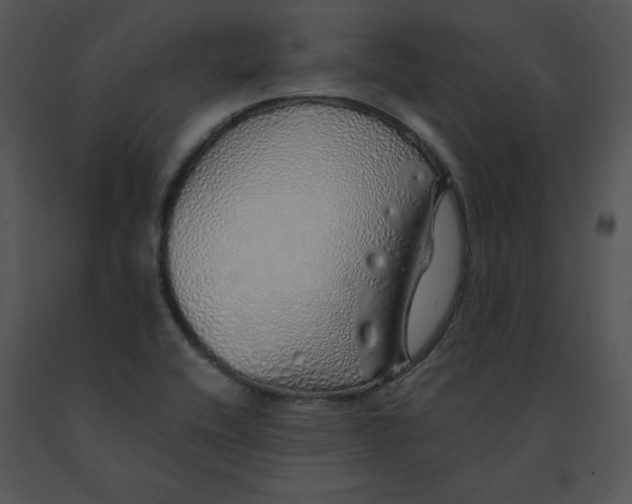 X0000091371416200708311516