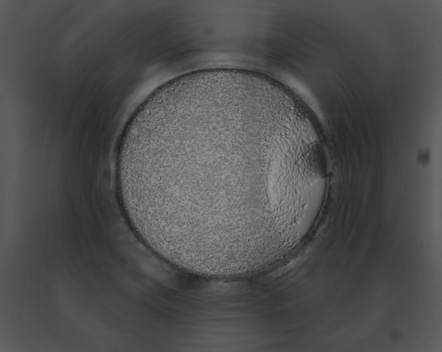 X0000091371419200708311516