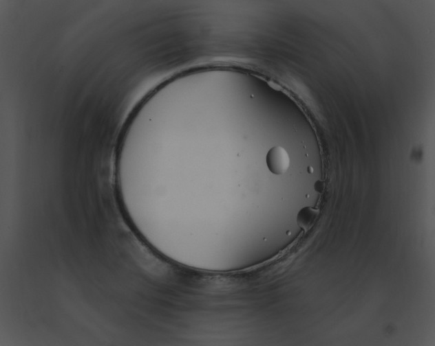 X0000091371420200708311516