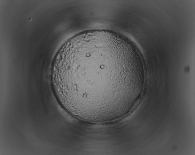 X0000091371421200708311516