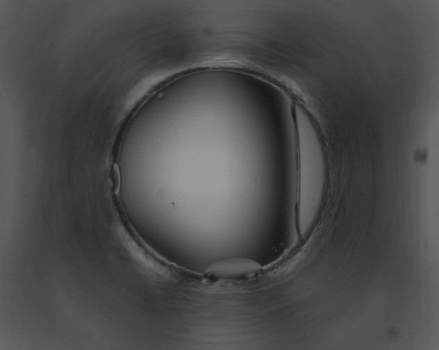 X0000091371422200708311516