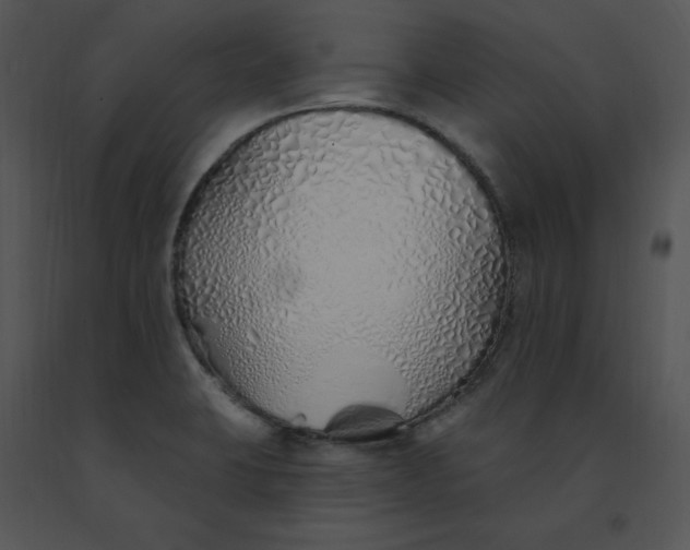 X0000091371423200708311516