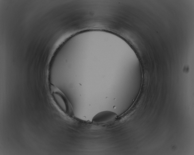 X0000091371424200708311516