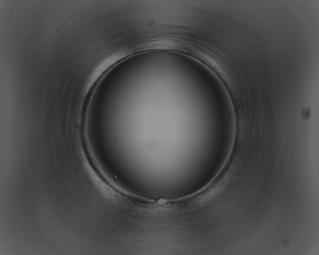 X0000091371426200708311516