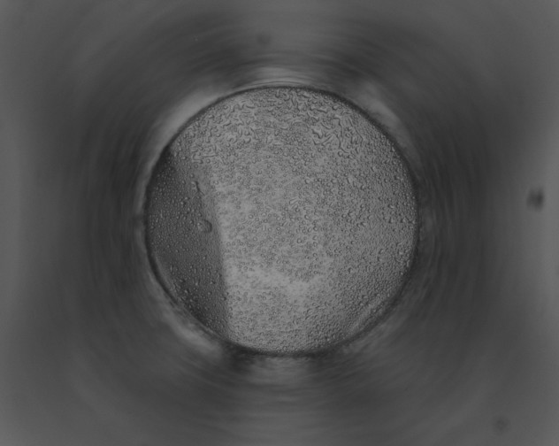 X0000091371427200708311516