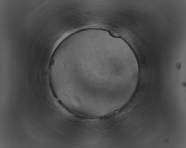 X0000091371428200708311516