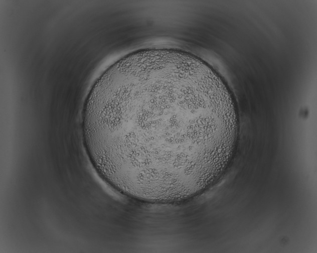 X0000091371429200708311516