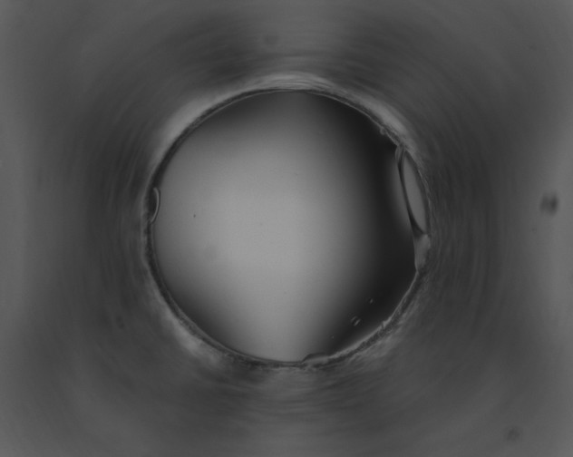 X0000091371430200708311516