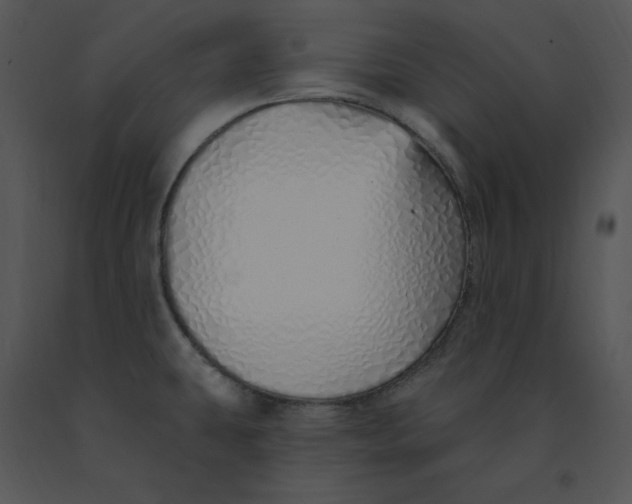 X0000091371431200708311516