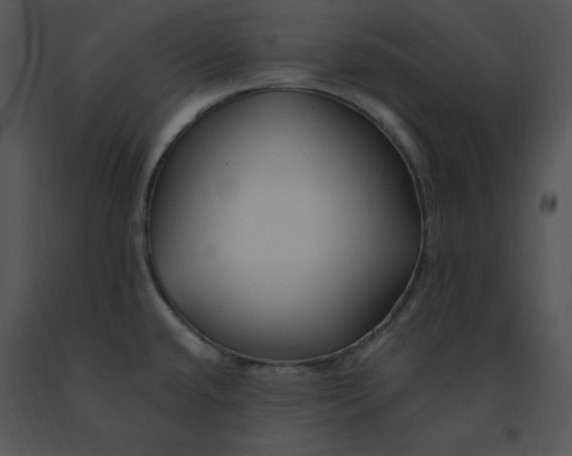 X0000091371432200708311516