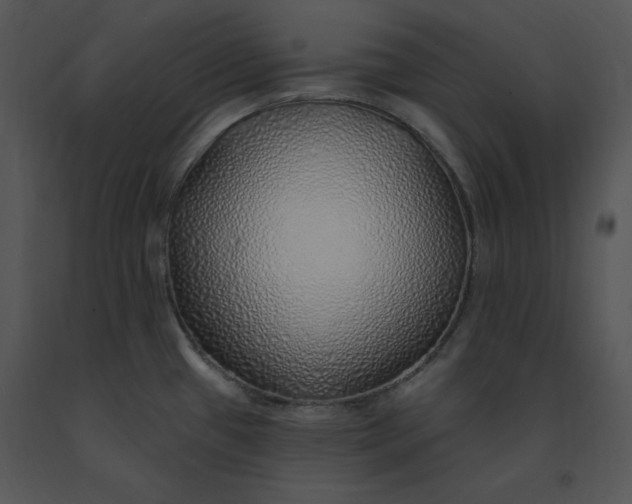 X0000091371433200708311516