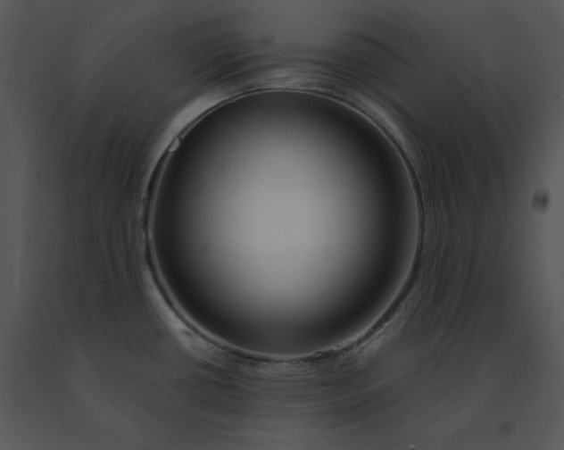 X0000091371434200708311516