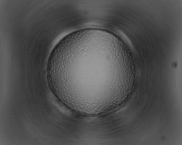 X0000091371435200708311516