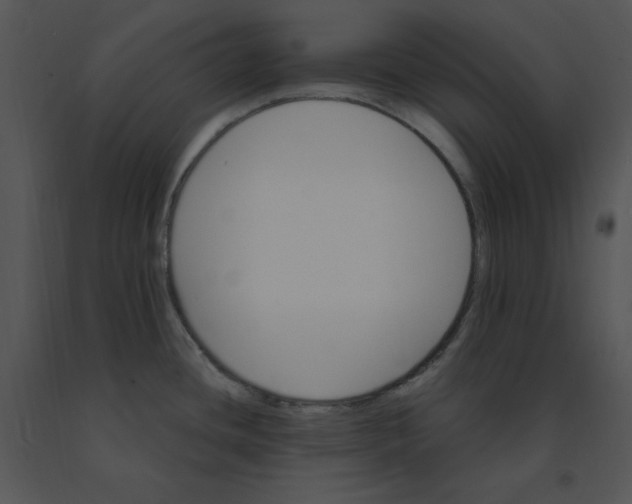 X0000091371436200708311516