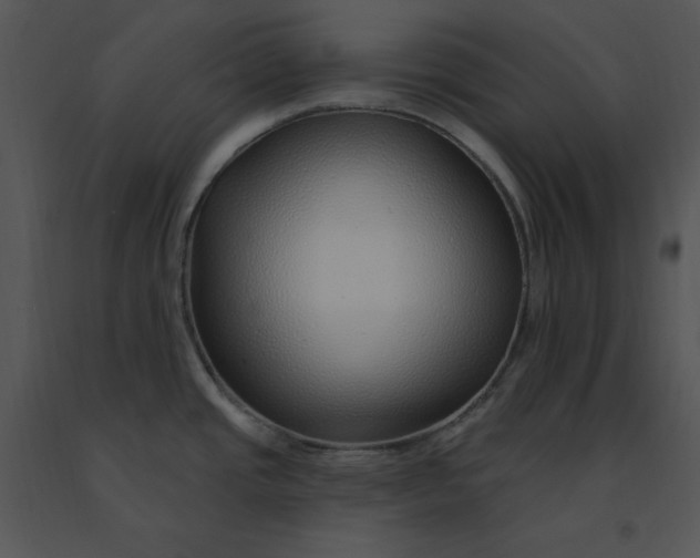 X0000091371437200708311516