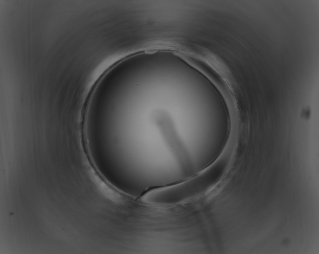 X0000091371438200708311516