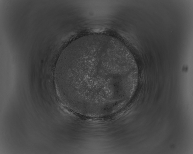 X0000091371441200708311516