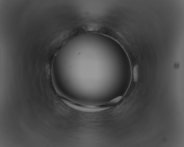 X0000091371443200708311515