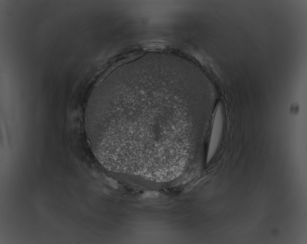 X0000091371445200708311515