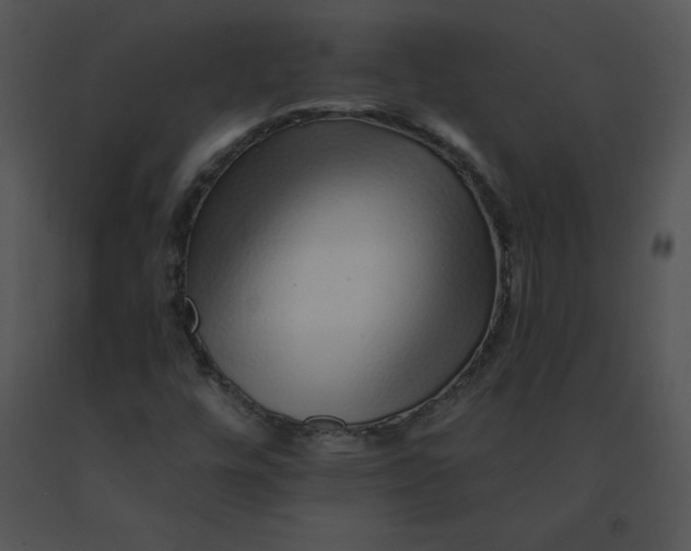 X0000091371448200708311515