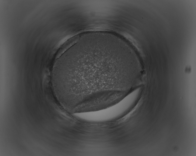 X0000091371449200708311515