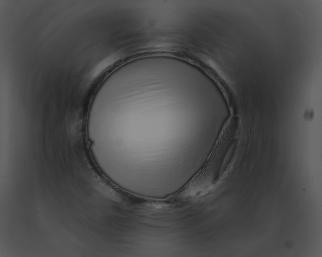 X0000091371450200708311515