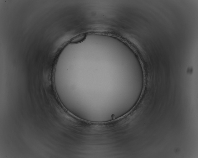 X0000091371451200708311515