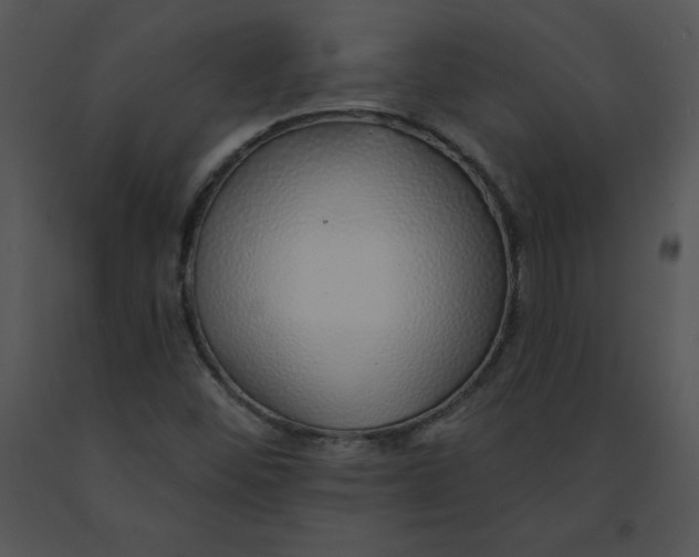 X0000091371452200708311515