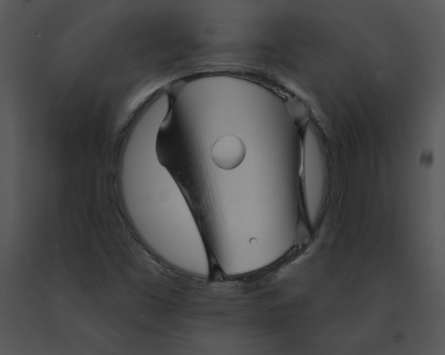 X0000091371453200708311515