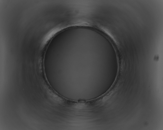 X0000091371455200708311515