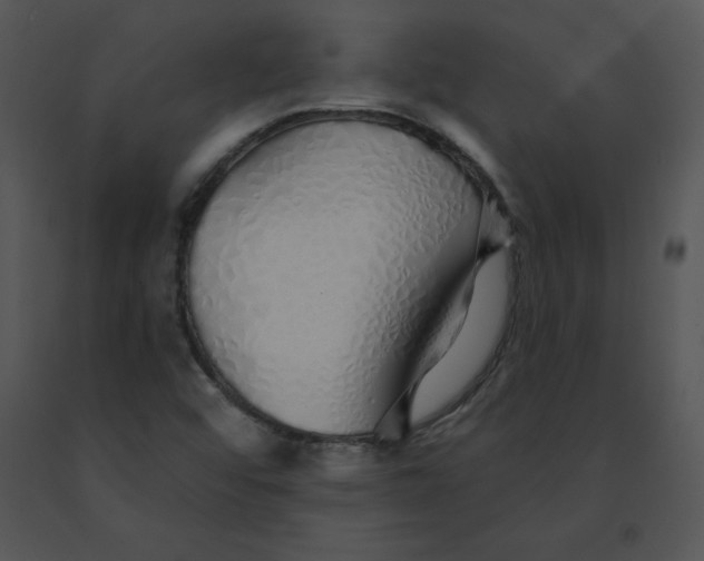 X0000091371456200708311515