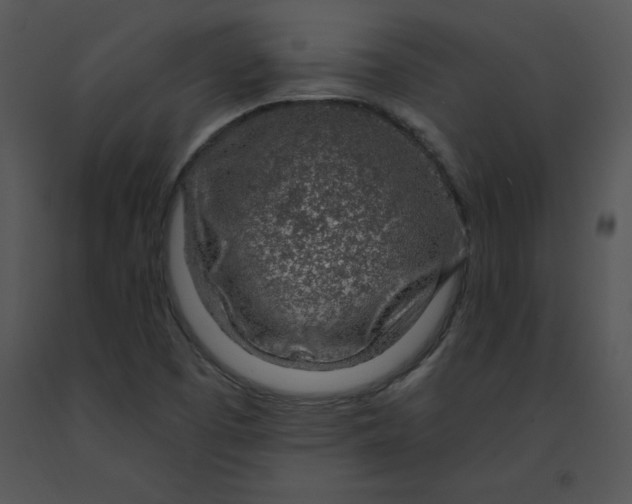 X0000091371457200708311515