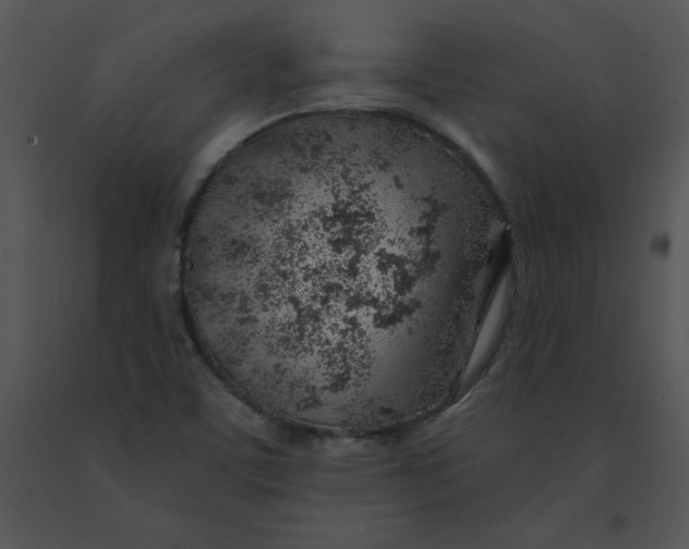 X0000091371459200708311515