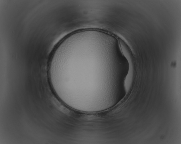 X0000091371460200708311515