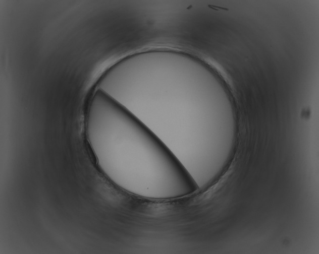 X0000091371461200708311515