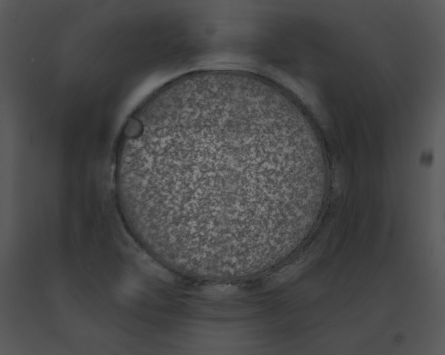 X0000091371462200708311515