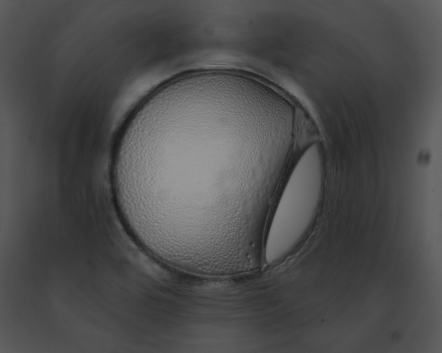 X0000091371464200708311515