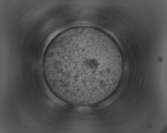 X0000091371466200708311515